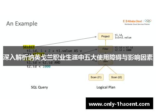 深入解析纳英戈兰职业生涯中五大使用障碍与影响因素 深入解析纳英戈兰职业生涯中五大使用障碍与影响因素