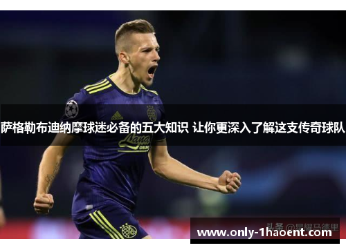 萨格勒布迪纳摩球迷必备的五大知识 让你更深入了解这支传奇球队 萨格勒布迪纳摩球迷必备的五大知识 让你更深入了解这支传奇球队