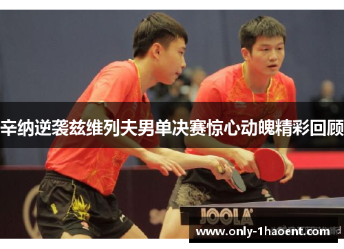 辛纳逆袭兹维列夫男单决赛惊心动魄精彩回顾 辛纳逆袭兹维列夫男单决赛惊心动魄精彩回顾